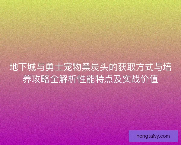 地下城与勇士宠物黑炭头的获取方式与培养攻略全解析性能特点及实战价值